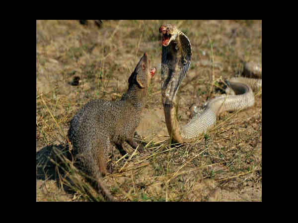 వేడి వేడి ఎంటర్‌టైన్‌మెంట్