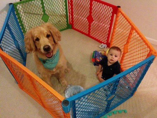 సోషల్ మీడియా ఎంటర్‌టైనింగ్ ఫోటోలు!!