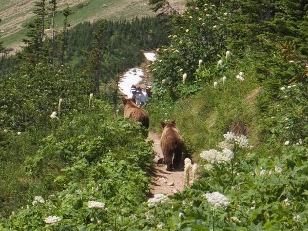 సోషల్ మీడియా ఎంటర్‌టైనింగ్ ఫోటోలు!!