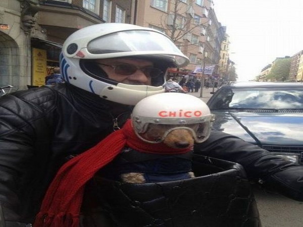 సోషల్ మీడియా ఎంటర్‌టైనింగ్ ఫోటోలు!!