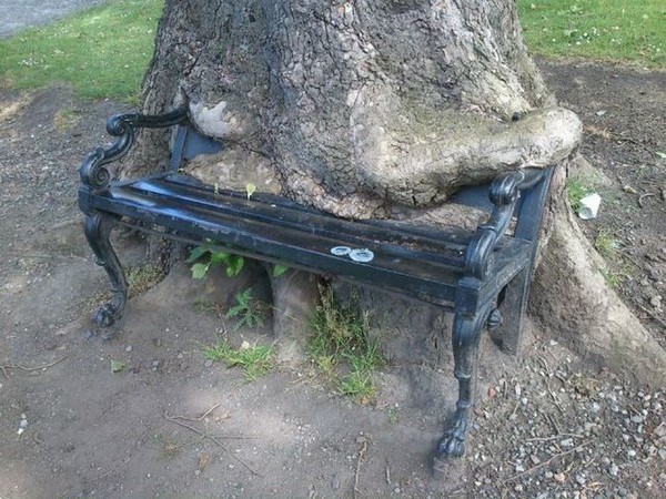 సోషల్ మీడియా ఎంటర్‌టైనింగ్ ఫోటోలు!!