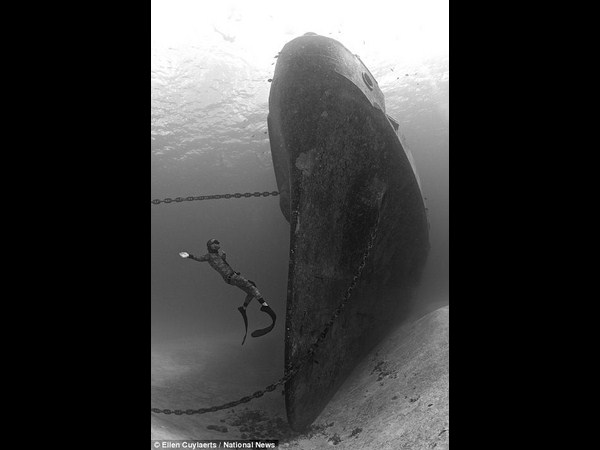 అత్యుత్తమ అండర్ వాటర్ ఫోటోలు!