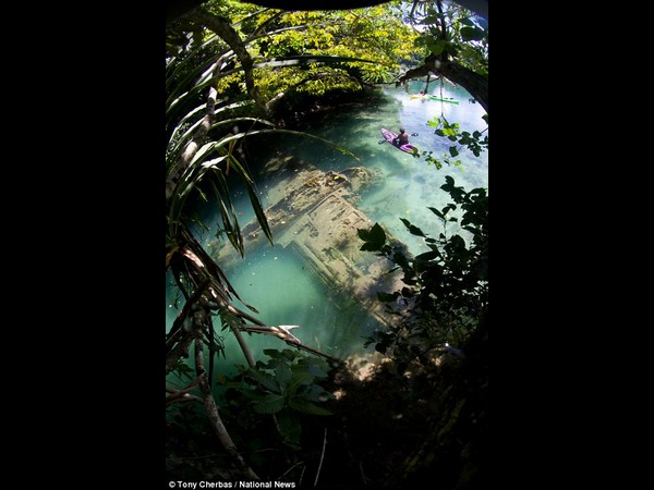 అత్యుత్తమ అండర్ వాటర్ ఫోటోలు!