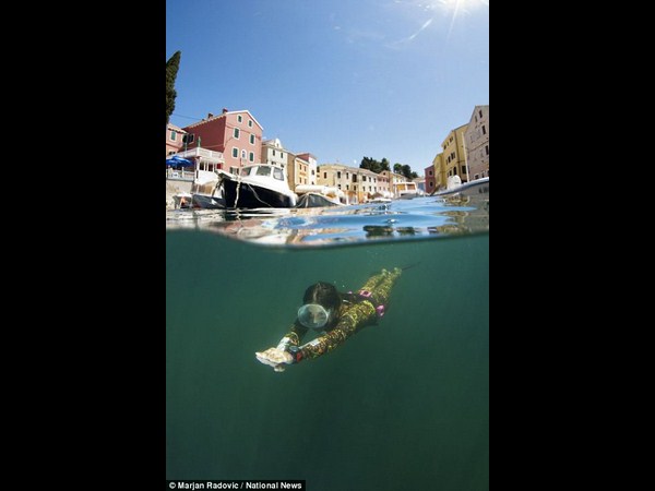 అత్యుత్తమ అండర్ వాటర్ ఫోటోలు!