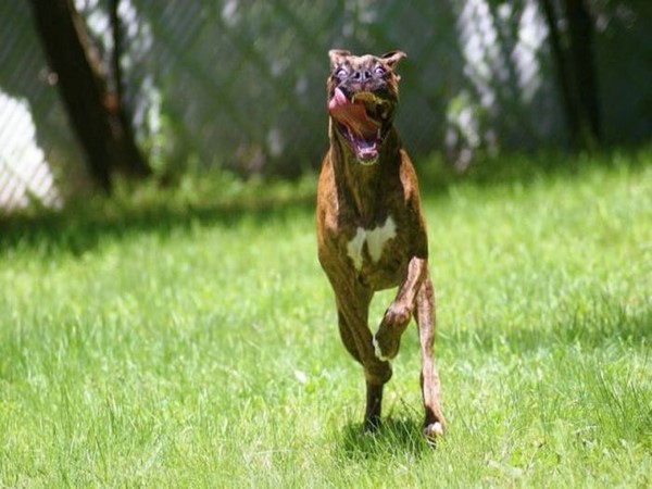 అంబరాన్నంటిన సోషల్ మీడియా జోష్!!