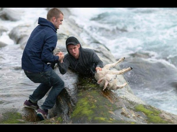 సోషల్ మీడియా వైరల్ చిత్రాలు