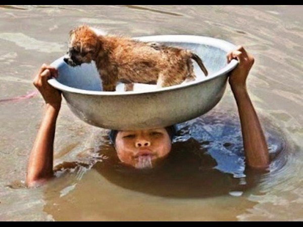 సోషల్ మీడియా వైరల్ చిత్రాలు