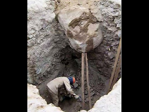 సోషల్ మీడియా వైరల్ చిత్రాలు