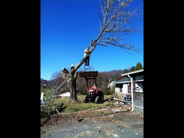 సోషల్ మీడియా వైరల్ చిత్రాలు
