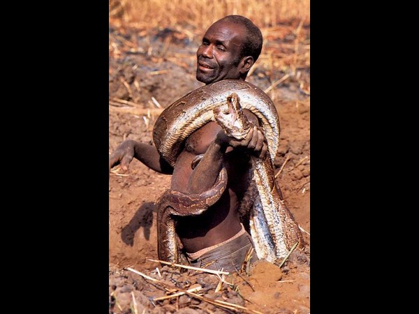 షాకింగ్ చిత్రాలు@ ఇంటర్నెట్