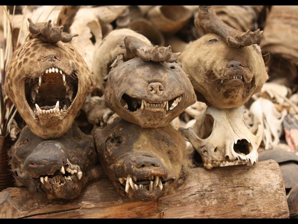 షాకింగ్ చిత్రాలు@ ఇంటర్నెట్