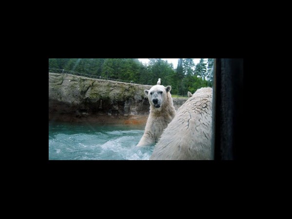 ఈ ఫోటోలు తికమక పెట్టేస్తాయ్!!