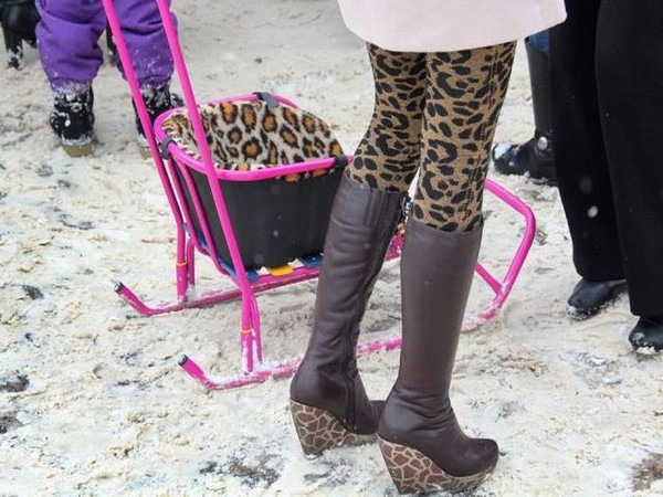 సోషల్ మీడియా థ్రిల్లింగ్ ఎంటర్‌టైనింగ్ ఫోటోలు!!