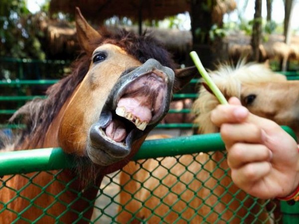సోషల్ మీడియా థ్రిల్లింగ్ ఎంటర్‌టైనింగ్ ఫోటోలు!!