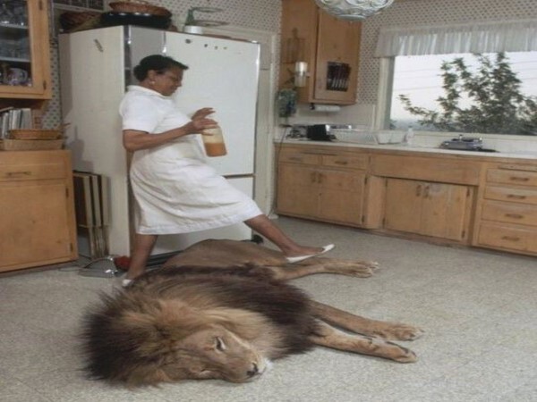 సోషల్ మీడియా థ్రిల్లింగ్ ఎంటర్‌టైనింగ్ ఫోటోలు!!