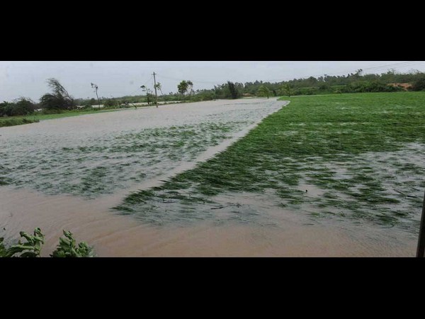 సోషల్ మీడియాలో హుదుద్ కల్లోలం..