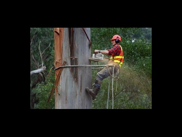 ఎటు చూసినా వింతలే...?