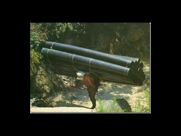 ఎటు చూసినా వింతలే...?