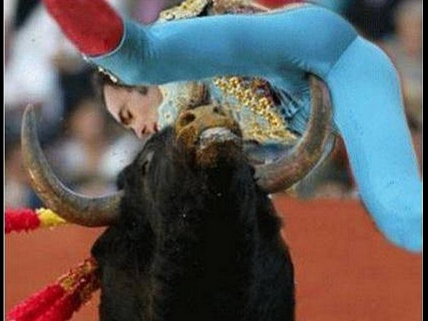 ఎటు చూసినా వింతలే...?