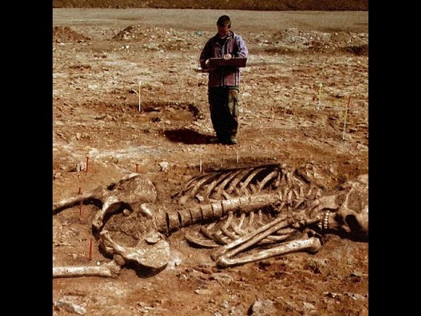 సోషల్ మీడియా వైరలు చిత్రాలు!!