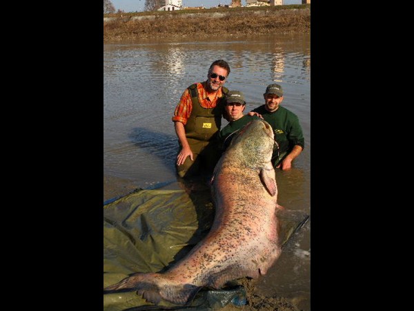 సోషల్ మీడియా వైరల్ చిత్రాలు!!