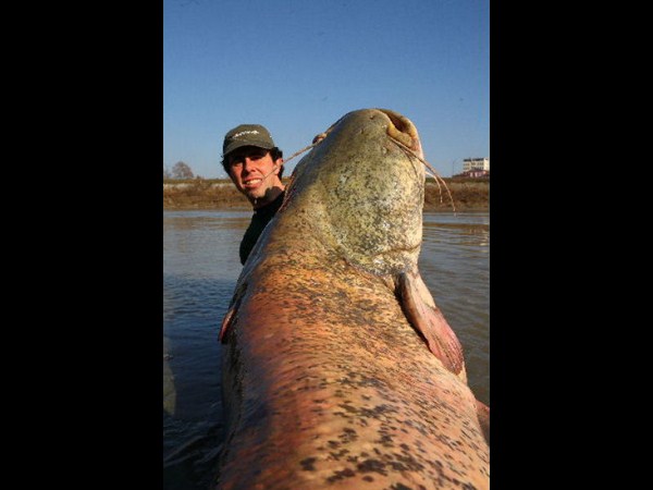 సోషల్ మీడియా వైరల్ చిత్రాలు!!