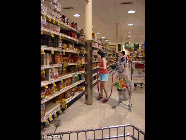 సోషల్ మీడియా వైరల్ చిత్రాలు!!