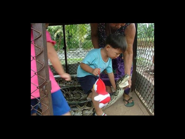 సోషల్ మీడియా వైరల్ చిత్రాలు!!