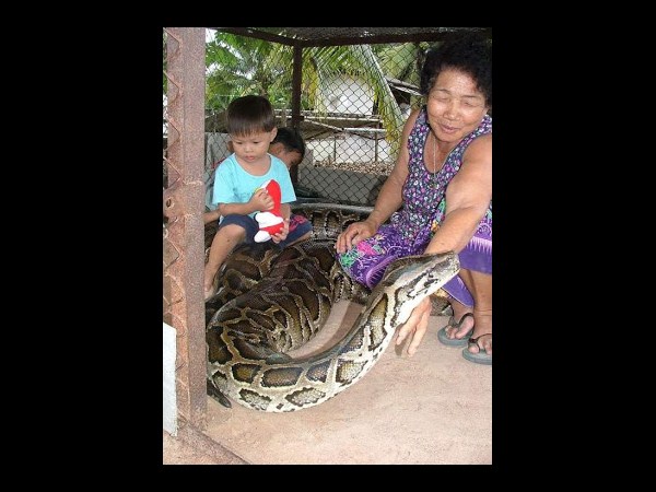 సోషల్ మీడియా వైరల్ చిత్రాలు!!