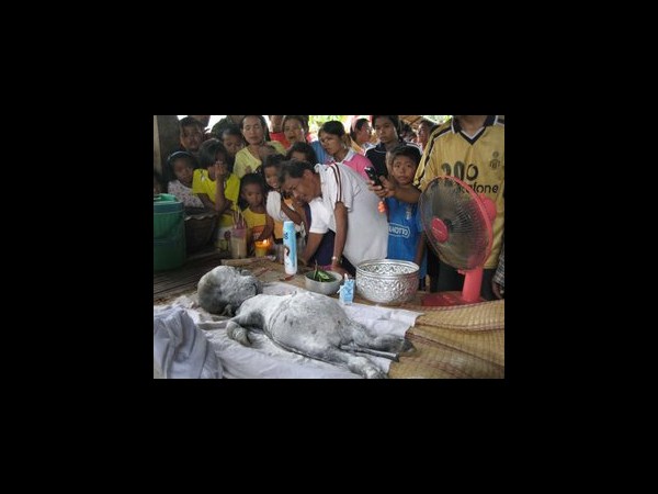 సోషల్ మీడియా వైరల్ చిత్రాలు!!