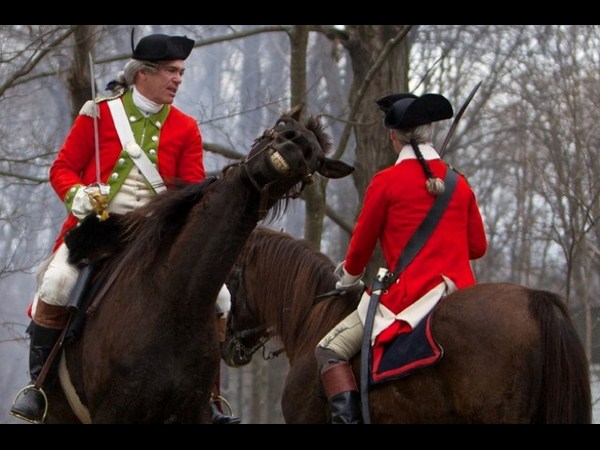 అత్యుత్తమ యానిమల్ ఫోటోబాంబింగ్ దృశ్యాలు!!