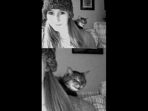 అత్యుత్తమ యానిమల్ ఫోటోబాంబింగ్ దృశ్యాలు!!