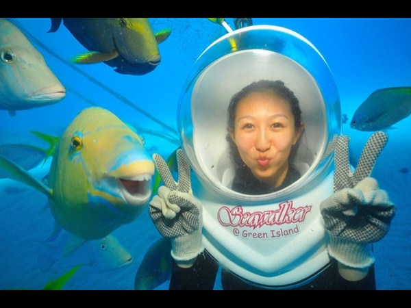 అత్యుత్తమ యానిమల్ ఫోటోబాంబింగ్ దృశ్యాలు!!