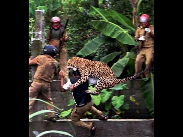  ప్రమాదానికి సెకన్ల ముందు!!