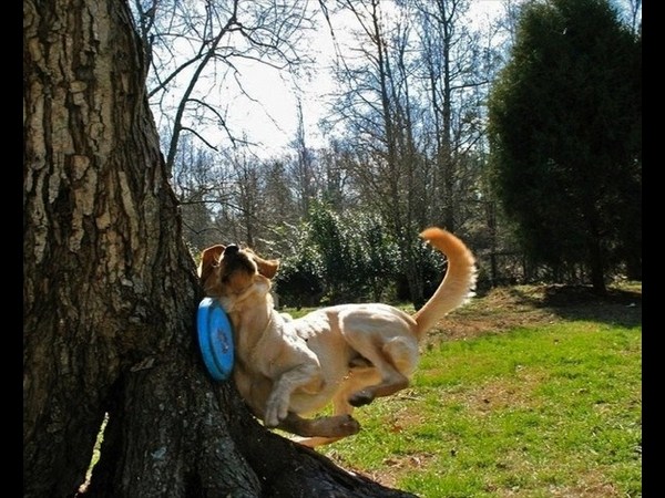 ప్రమాదానికి సెకన్ల ముందు!!