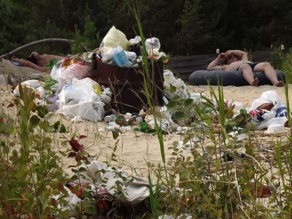 సోషల్ మీడియాలో విభిన్న వినోదాలు