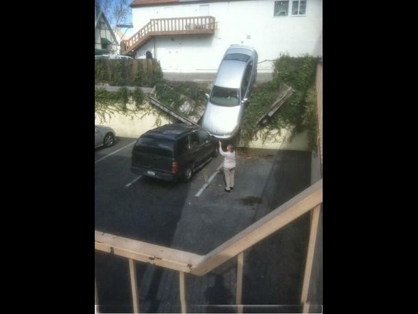 సోషల్ మీడియాలో విభిన్న వినోదాలు