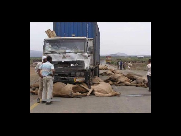 సోషల్ మీడియా షాకింగ్ చిత్రాలు!!