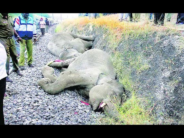 సోషల్ మీడియా షాకింగ్ చిత్రాలు!!