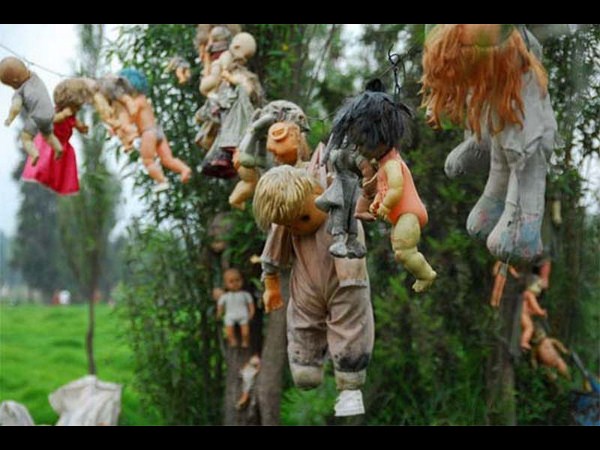 సోషల్ మీడియా షాకింగ్ చిత్రాలు!!