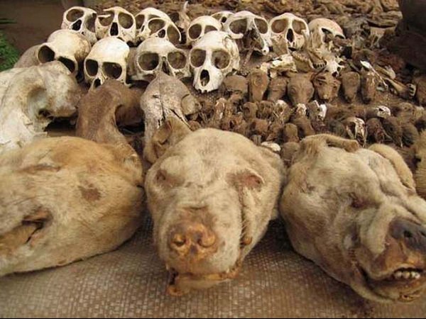 సోషల్ మీడియా షాకింగ్ చిత్రాలు!!