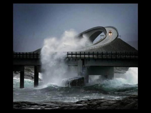 సోషల్ మీడియా షాకింగ్ చిత్రాలు!!