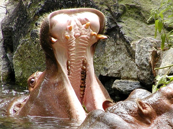 సోషల్ మీడియా వారాంతపు ఫోటోలు!!