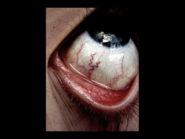 సోషల్ మీడియా వారాంతపు ఫోటోలు!!