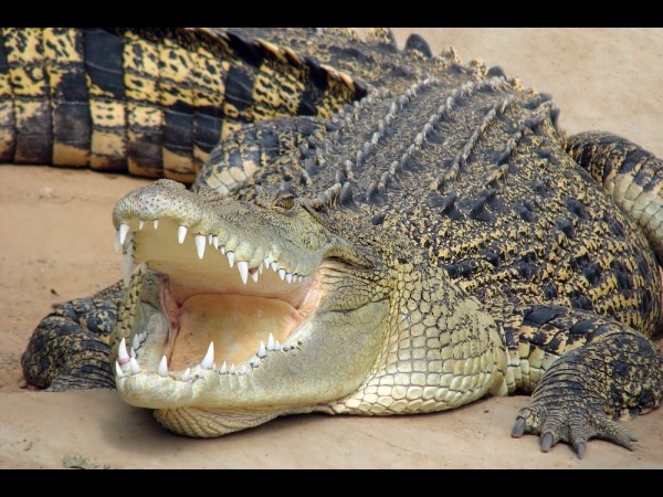 సోషల్ మీడియా వారాంతపు ఫోటోలు!!