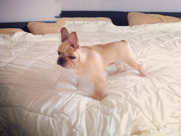 ఈ పోటోలు.. పెద్ద పీడకలలు!!