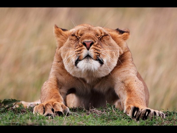  ఫోటోగ్రఫీకే ప్రాణం పోసారు!!