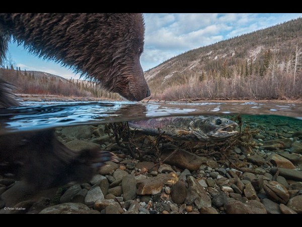 ఫోటోగ్రఫీకే ప్రాణం పోసారు!!