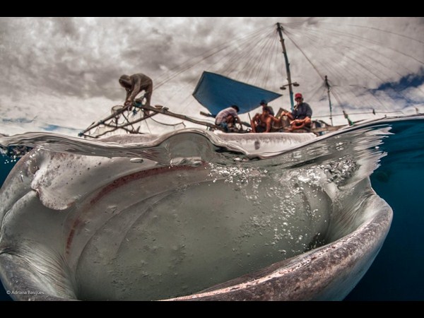 ఫోటోగ్రఫీకే ప్రాణం పోసారు!!