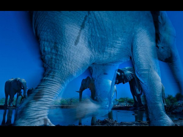 ఫోటోగ్రఫీకే ప్రాణం పోసారు!!